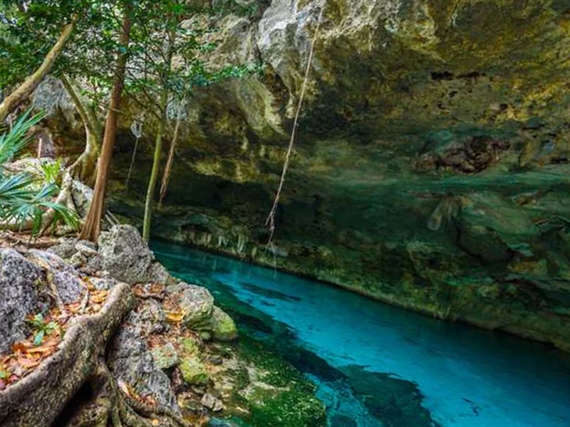 Wavelength Structure